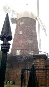 Halloween events at Green's Windmill